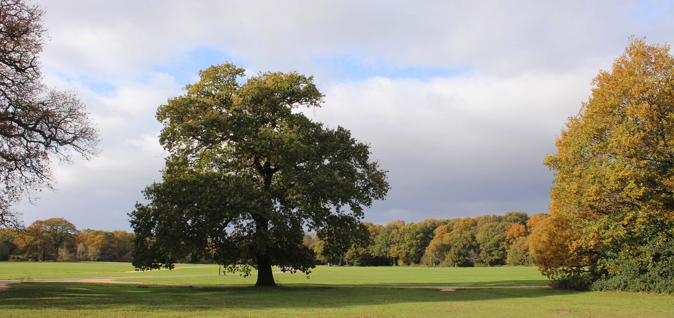 Southampton-Common